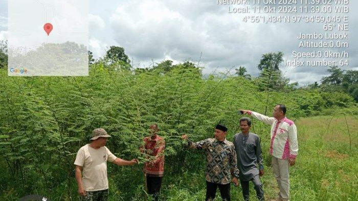 Petani Aceh Timur Minta Bantuan Traktor